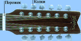 Головка грифа двенадцатиструнной гитары